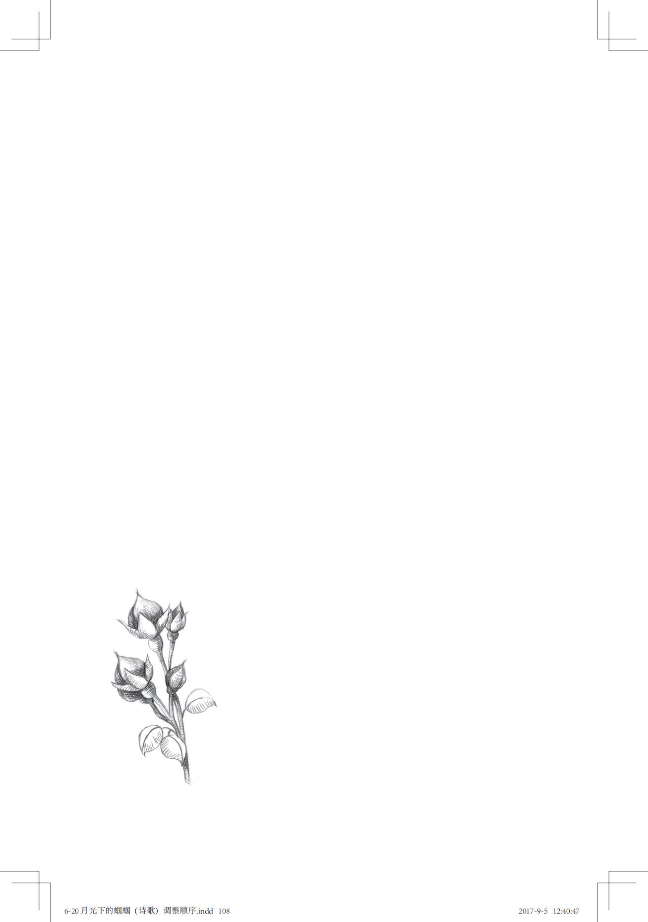 《一只想做强盗的猫》