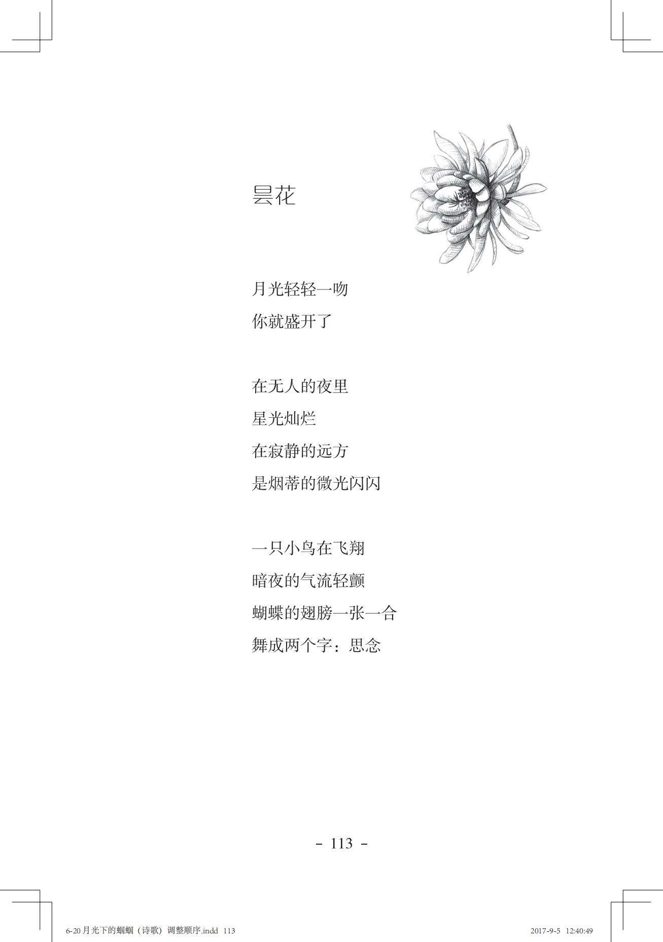 《一只想做强盗的猫》