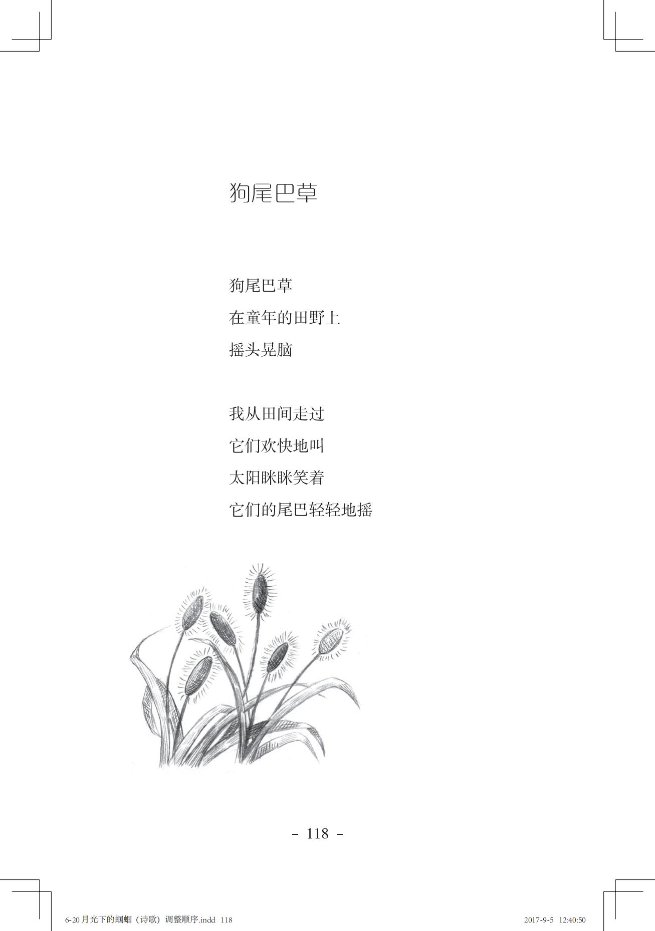 《一只想做强盗的猫》