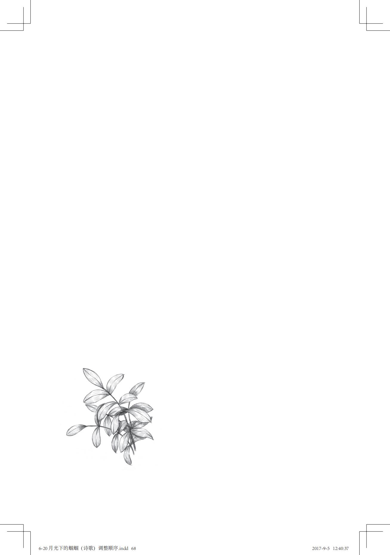 《一只想做强盗的猫》