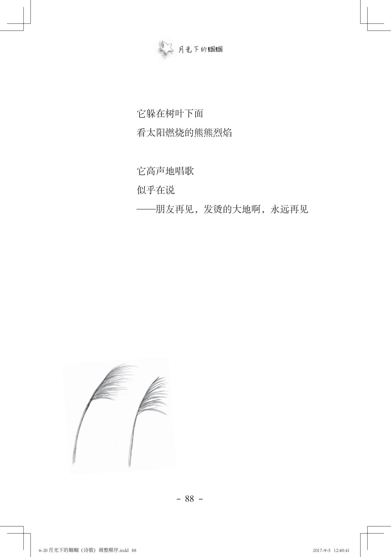 《一只想做强盗的猫》