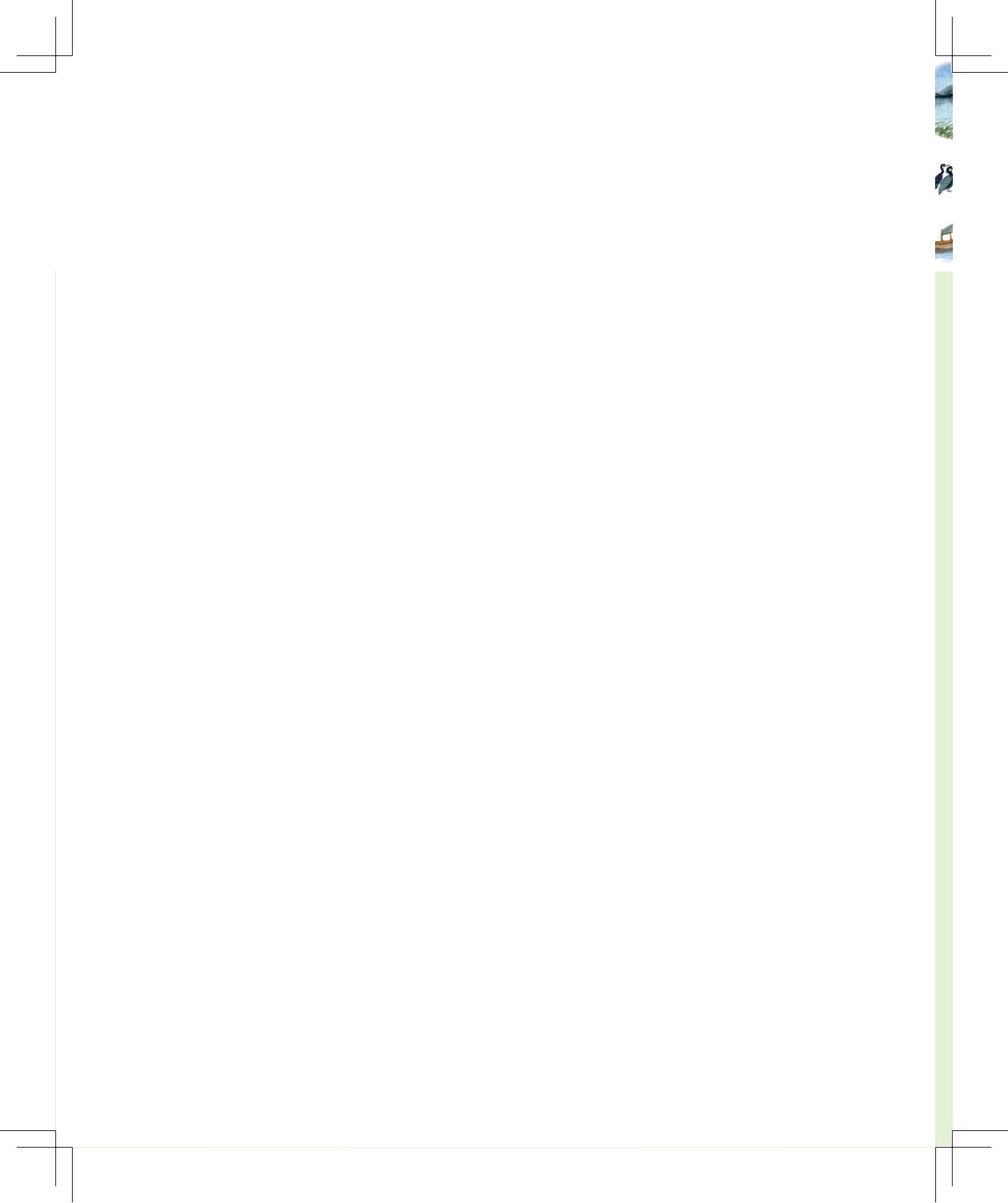 《灰灰的瘦马》