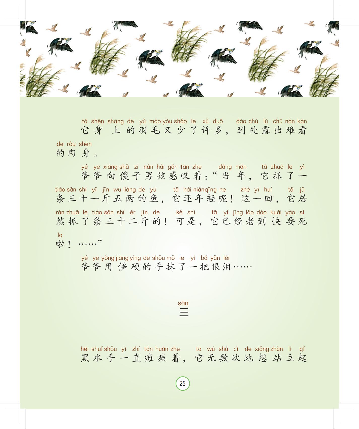 《灰灰的瘦马》