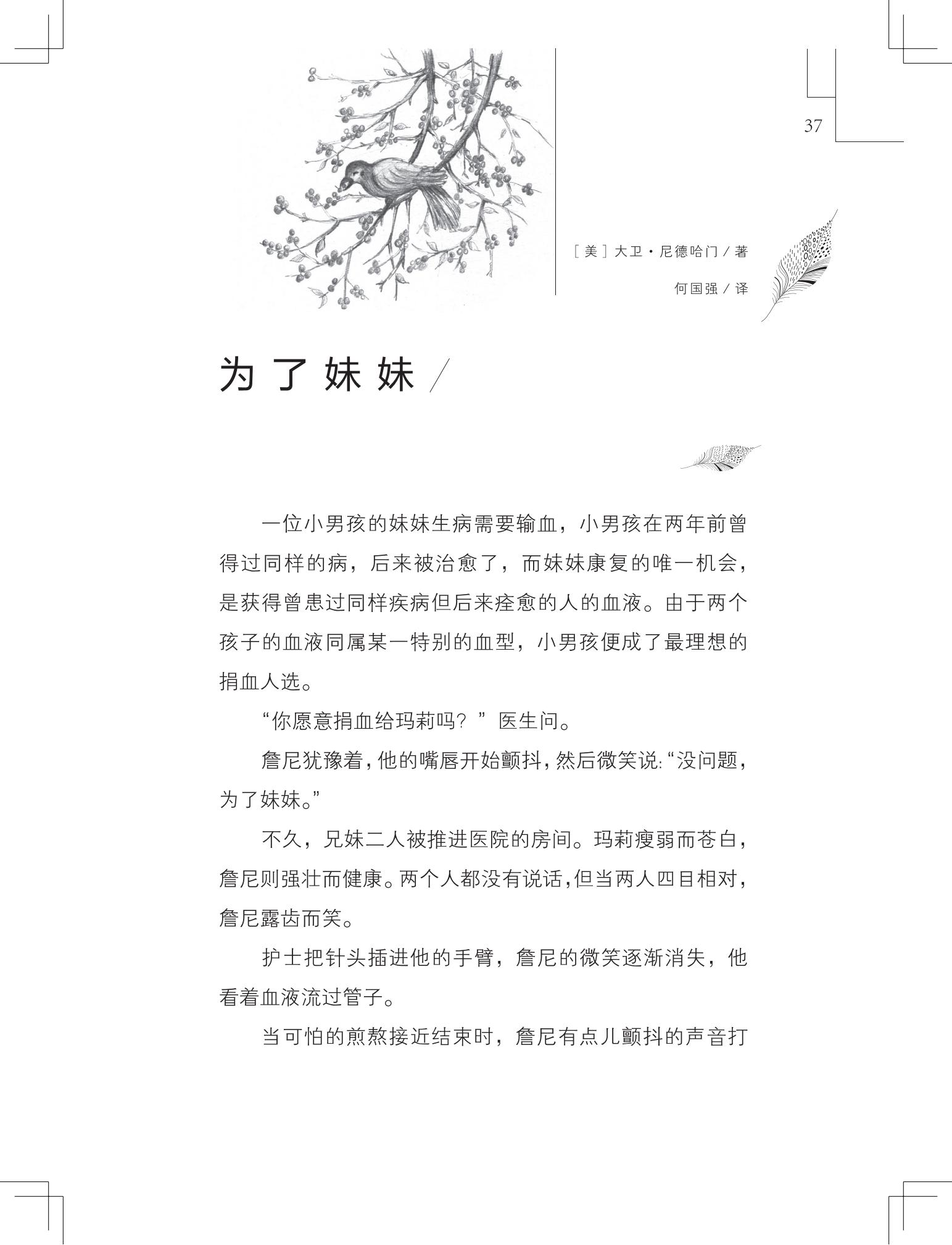 《写在雪地上的书》