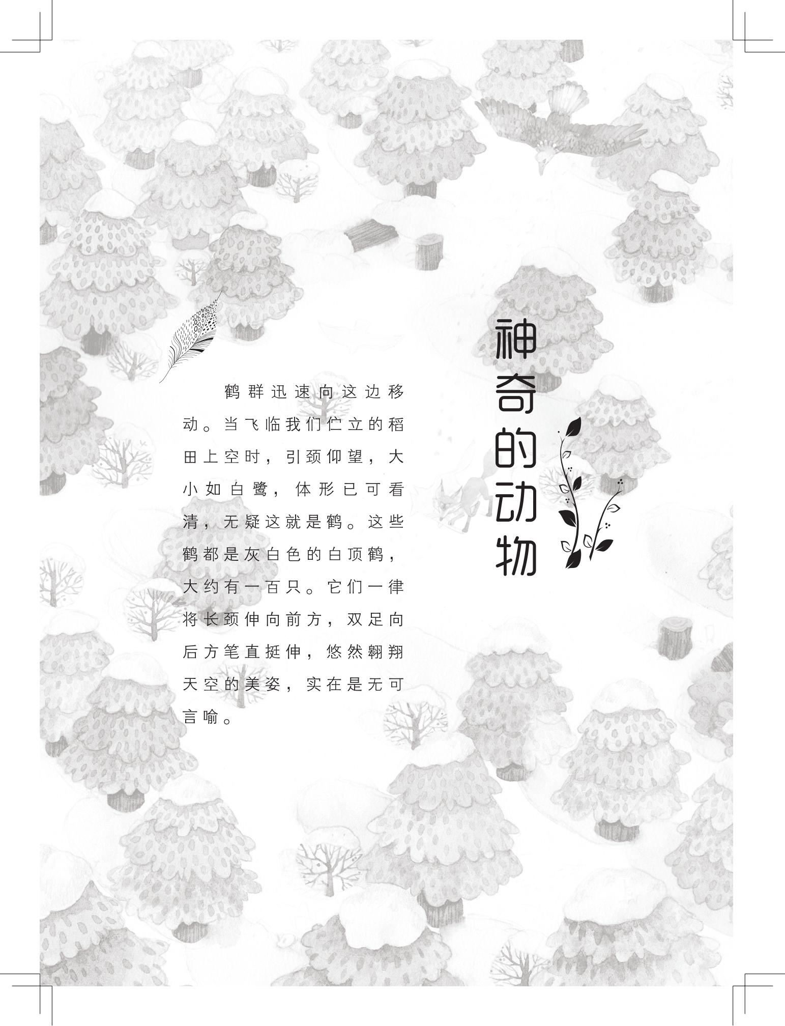 《写在雪地上的书》