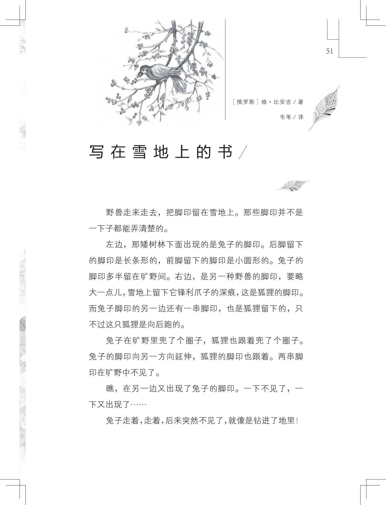 《写在雪地上的书》