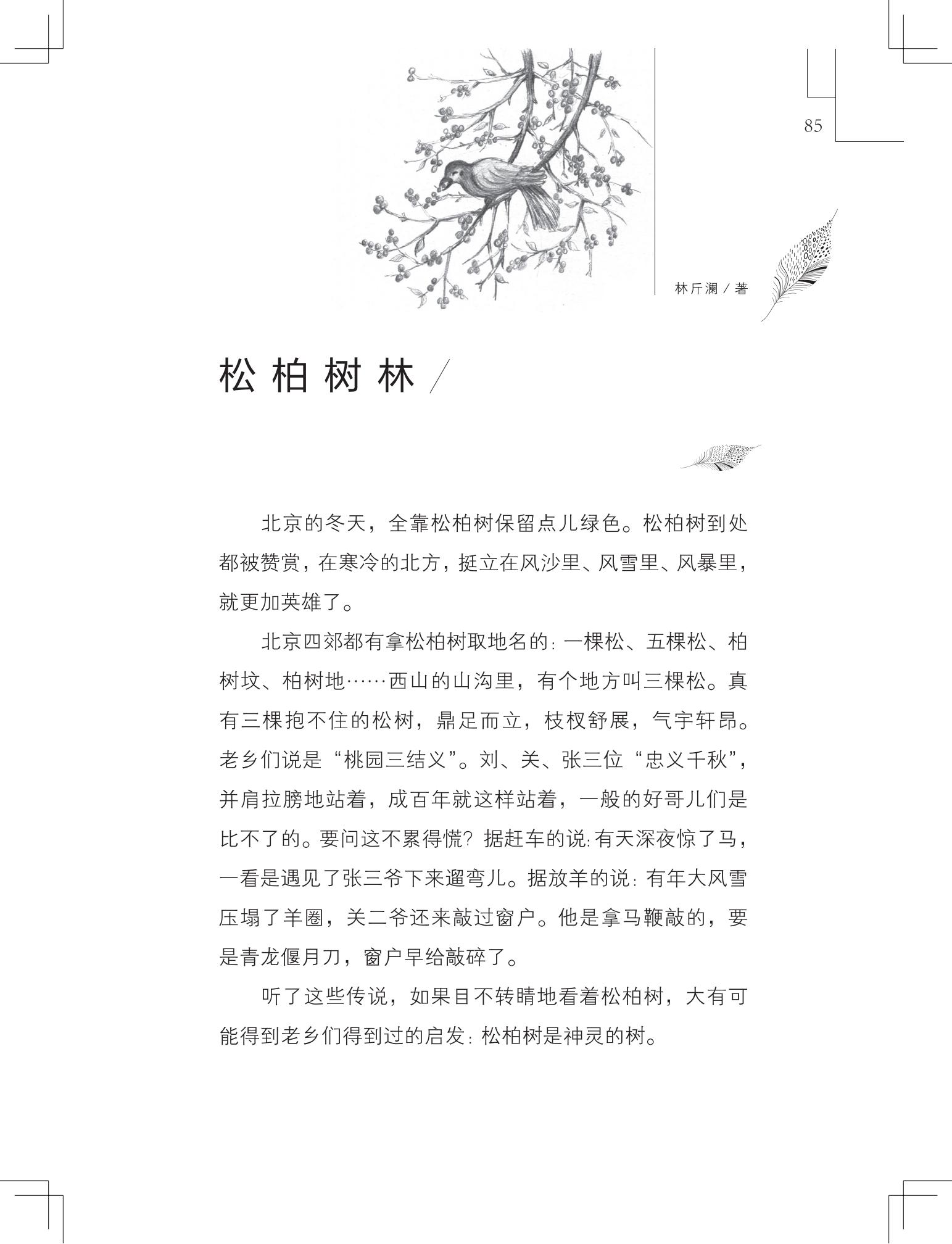 《写在雪地上的书》