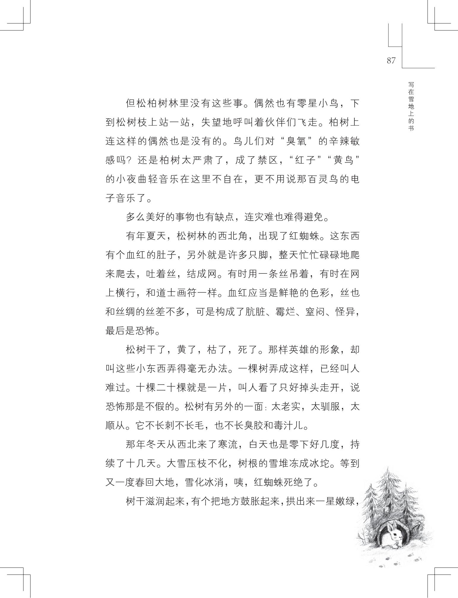 《写在雪地上的书》