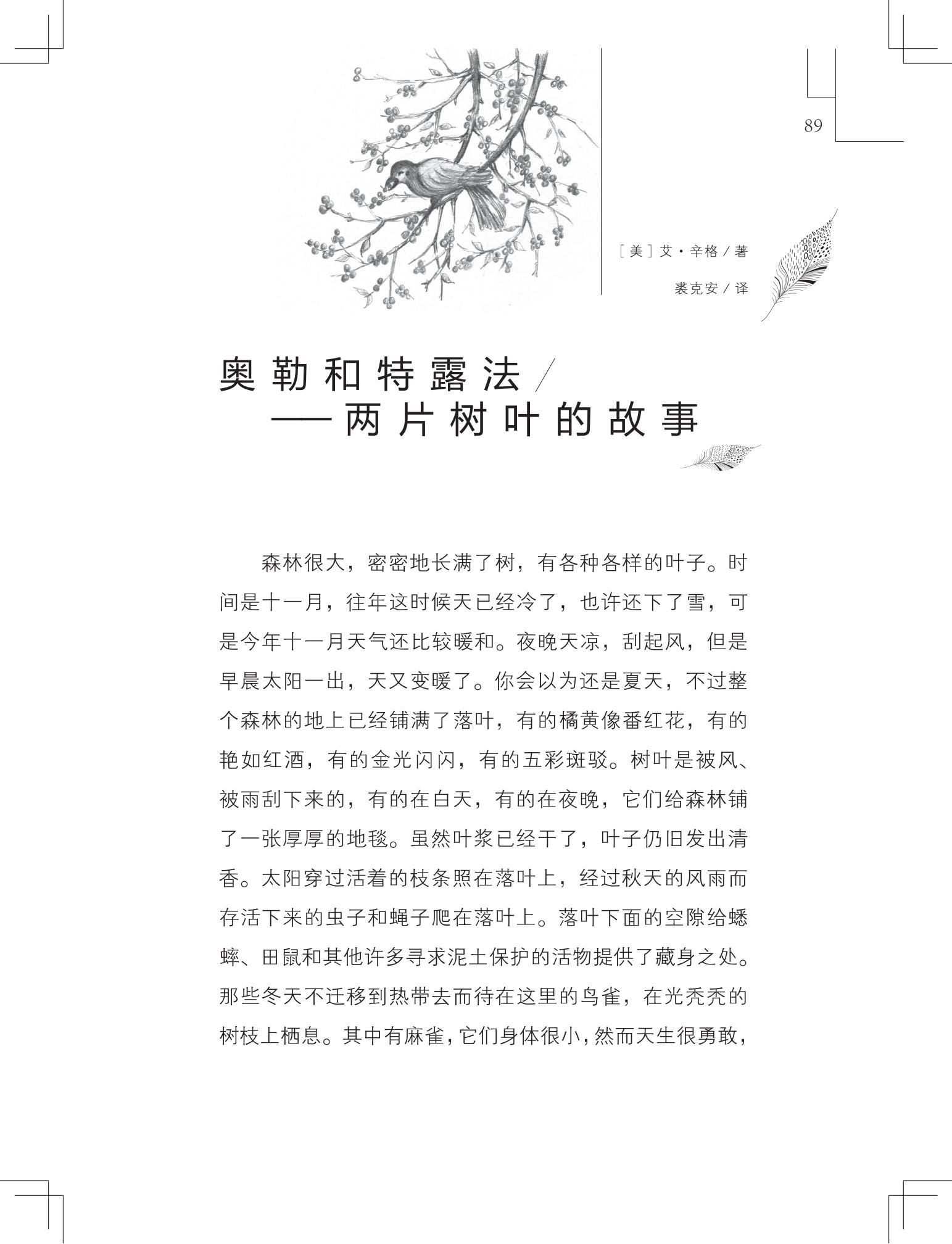 《写在雪地上的书》