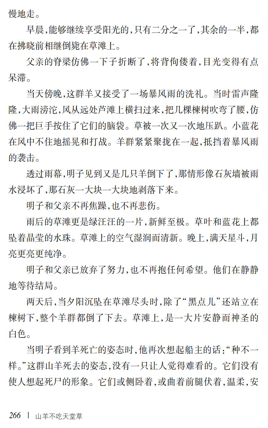 山羊不吃天堂草