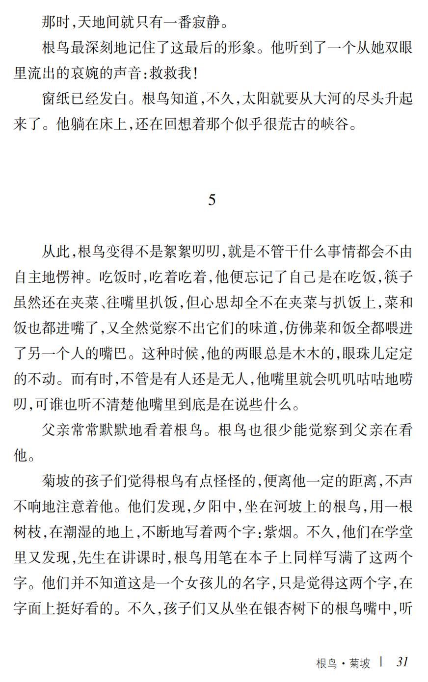 根鸟