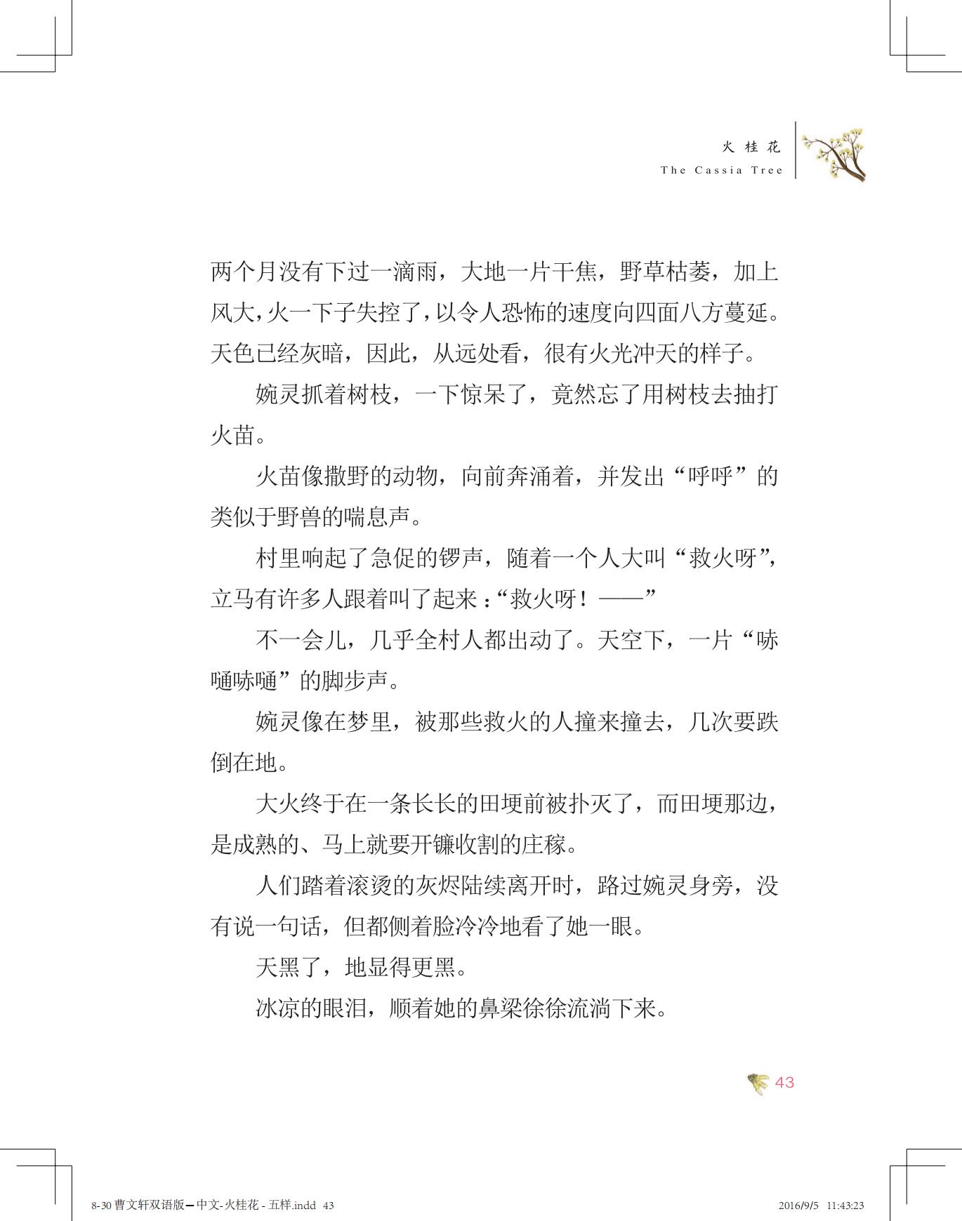 《火桂花》中文