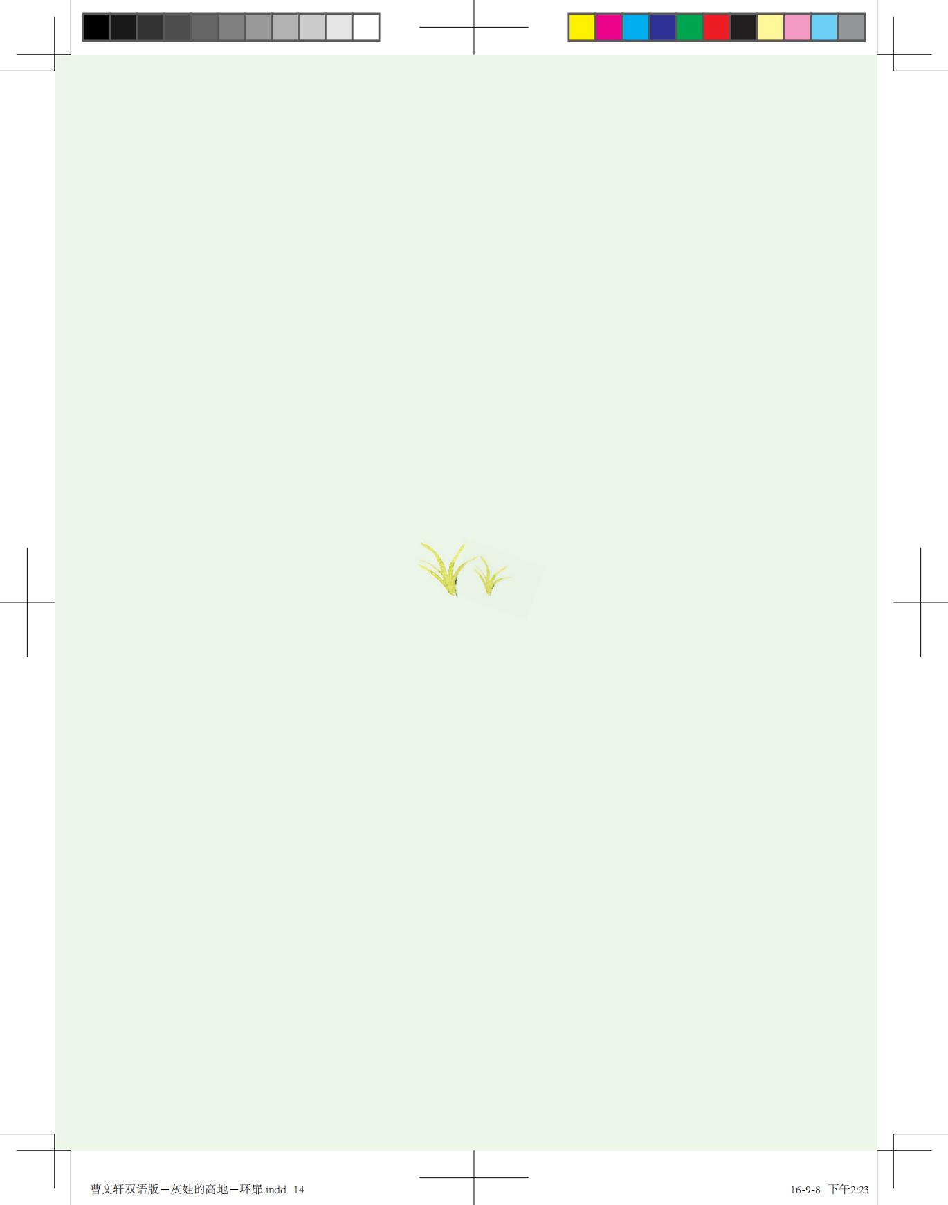 《灰娃的高地》（双语版）