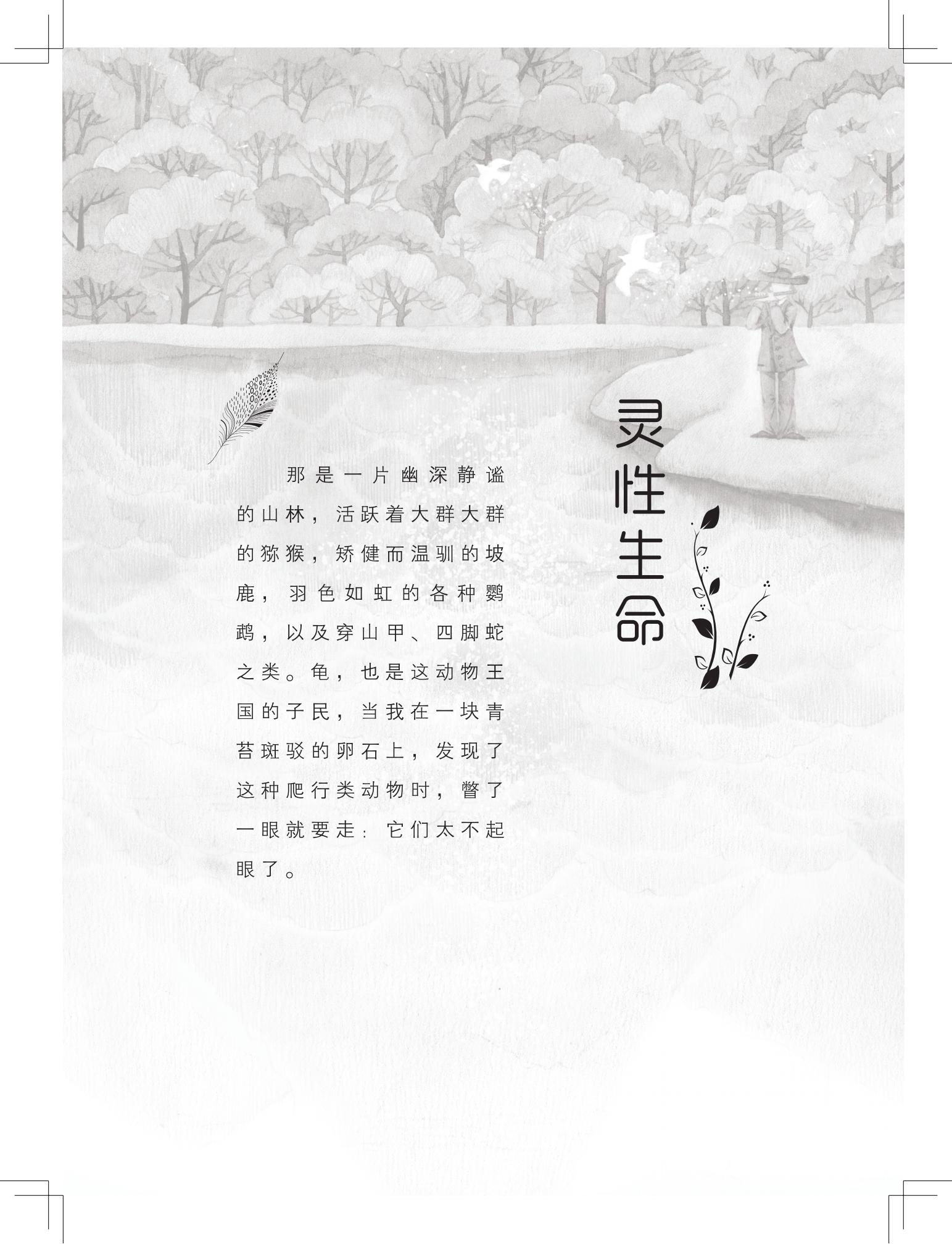 《购买上帝的男孩》