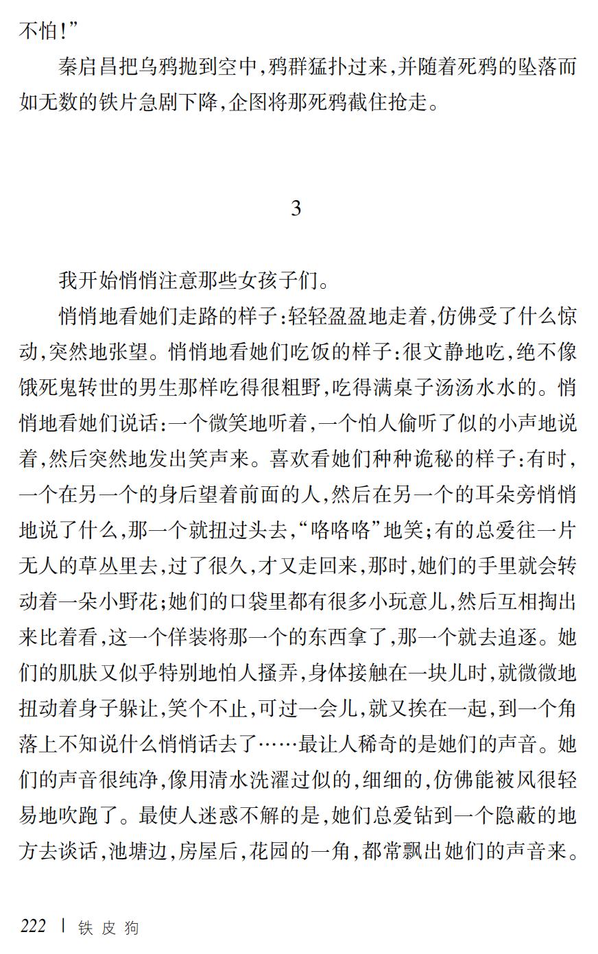 铁皮狗