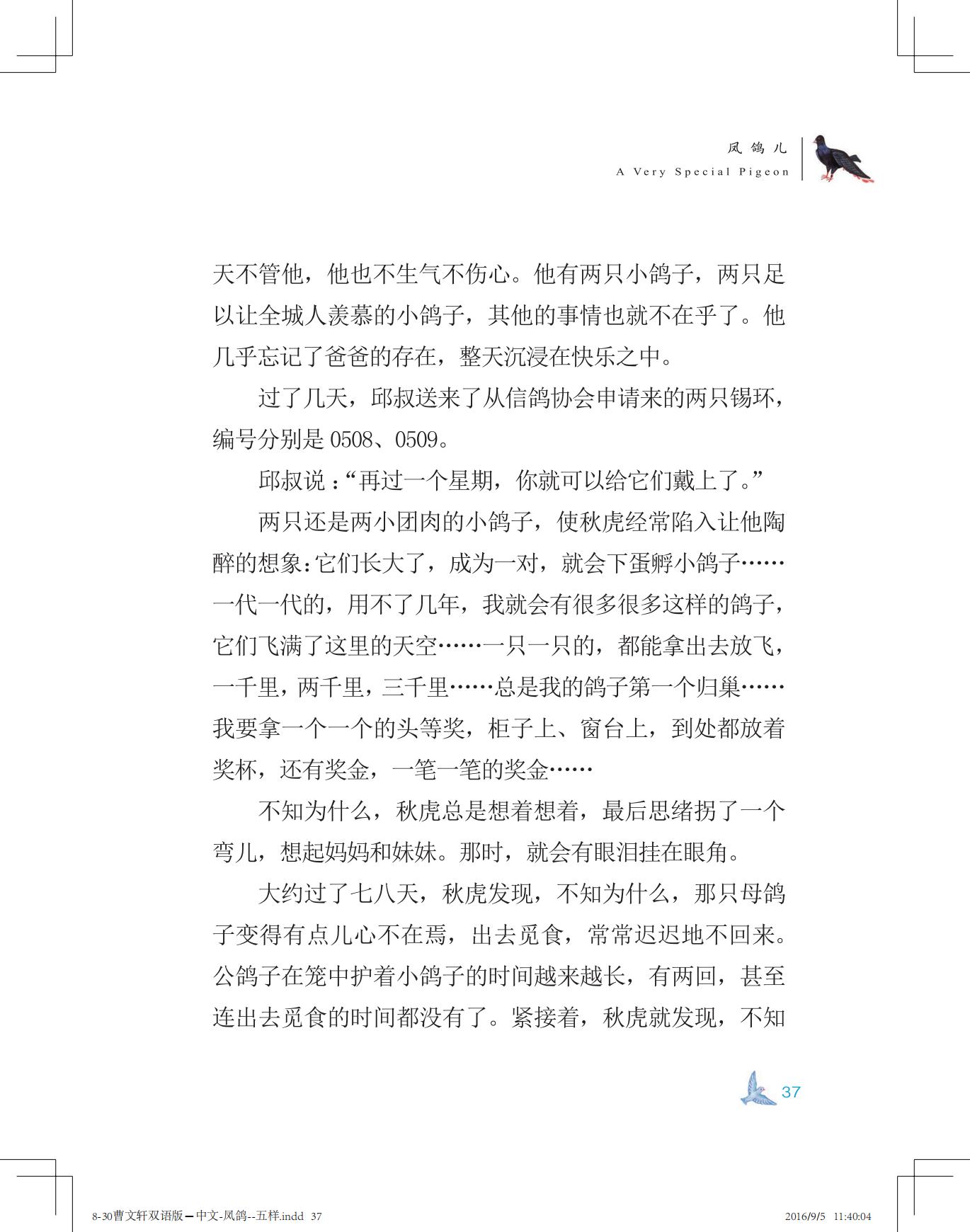 《凤鸽儿》双语版